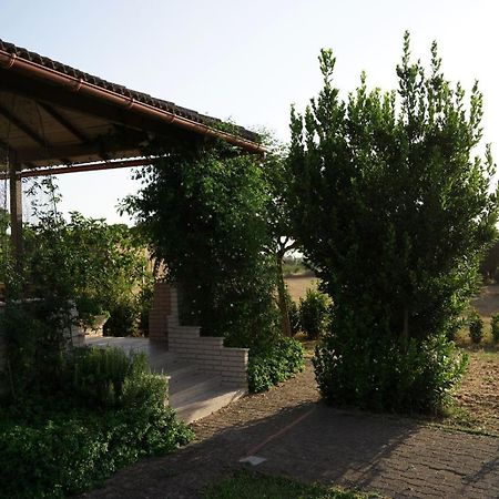 Accogliente Villa Con Piscina กัลตาจีโรเน ภายนอก รูปภาพ