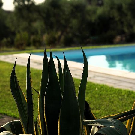 Accogliente Villa Con Piscina กัลตาจีโรเน ภายนอก รูปภาพ