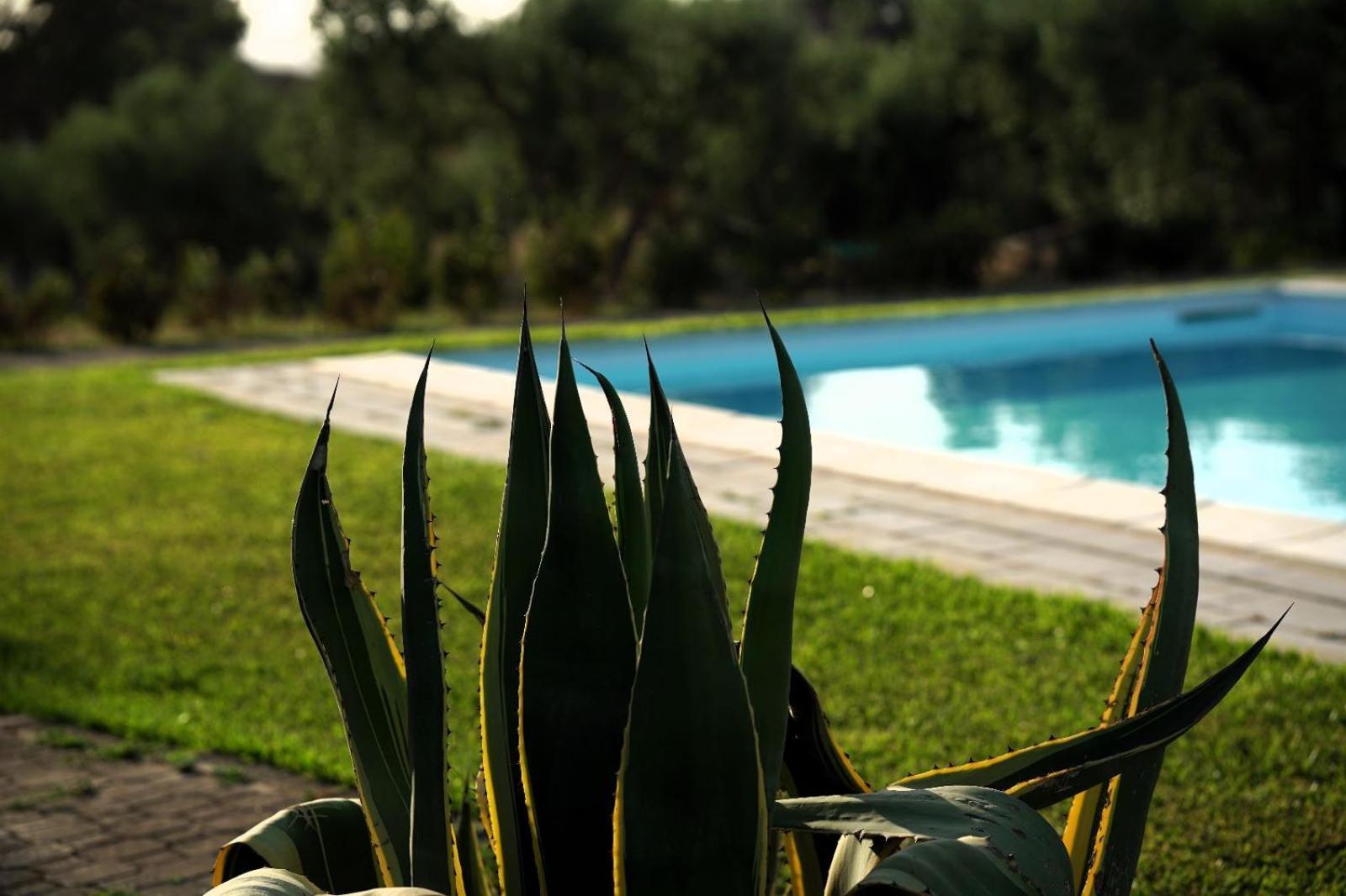 Accogliente Villa Con Piscina กัลตาจีโรเน ภายนอก รูปภาพ