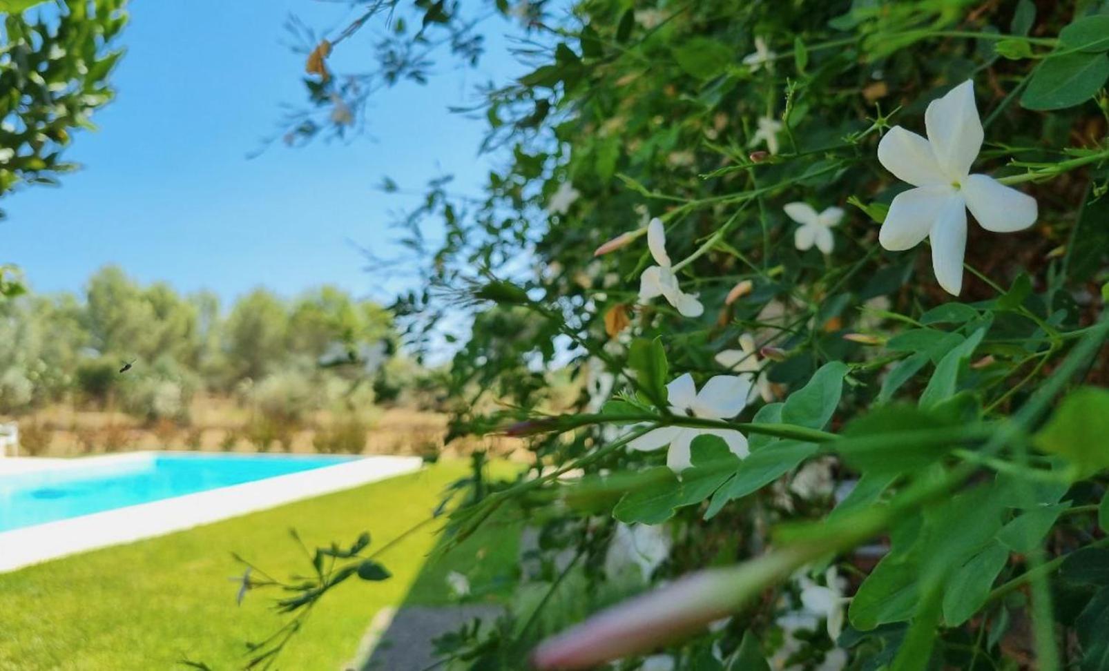 Accogliente Villa Con Piscina กัลตาจีโรเน ภายนอก รูปภาพ