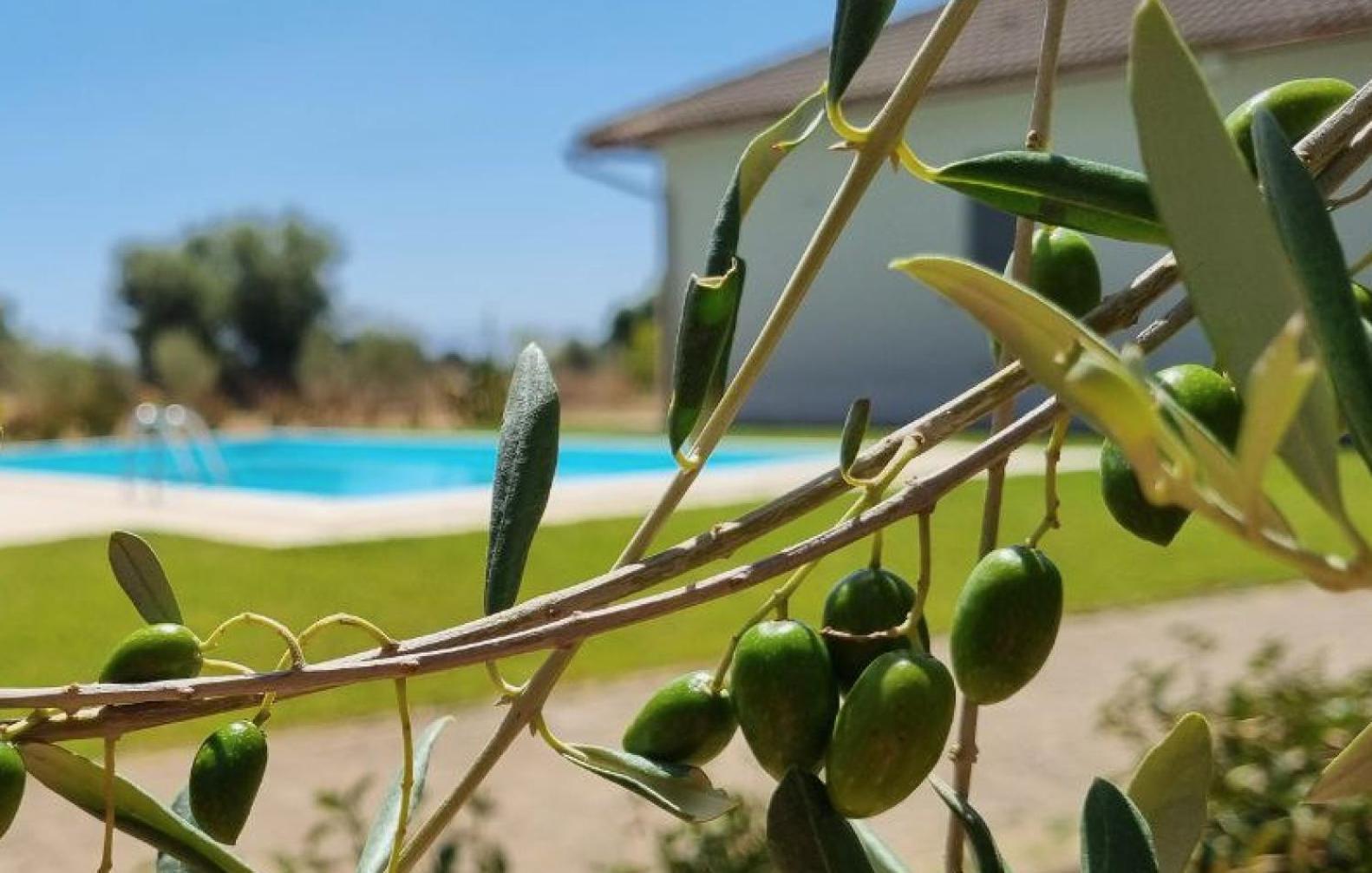 Accogliente Villa Con Piscina กัลตาจีโรเน ภายนอก รูปภาพ