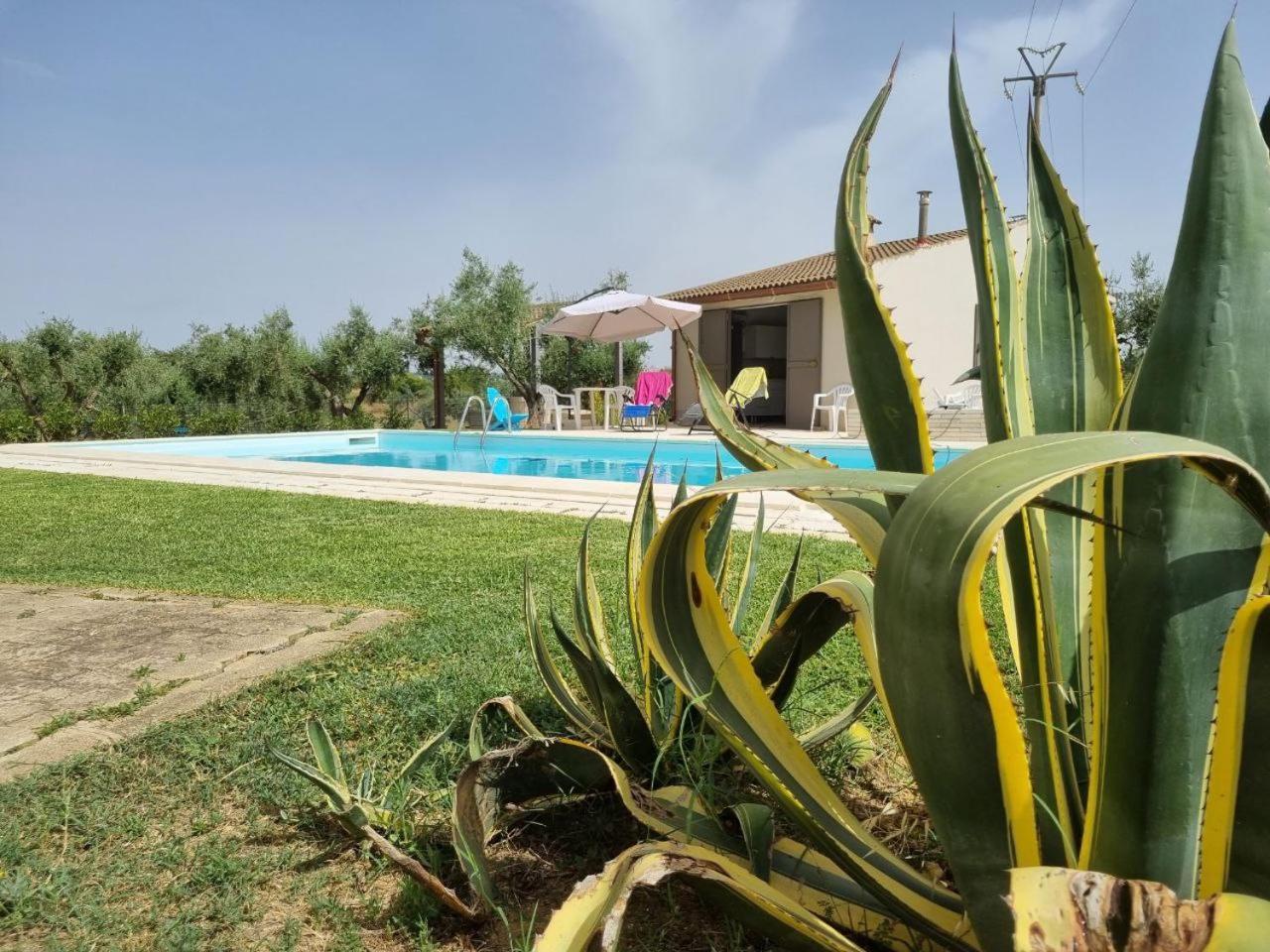 Accogliente Villa Con Piscina กัลตาจีโรเน ภายนอก รูปภาพ