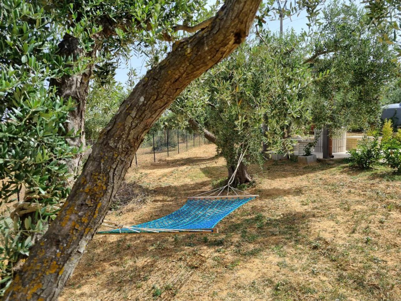 Accogliente Villa Con Piscina กัลตาจีโรเน ภายนอก รูปภาพ